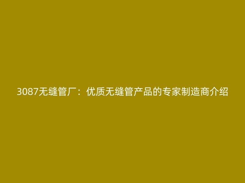 3087無縫管廠：優(yōu)質無縫管產品的專家制造商介紹