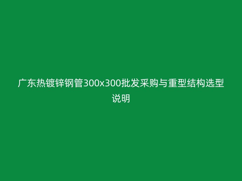 廣東熱鍍鋅鋼管300x300批發(fā)采購與重型結(jié)構(gòu)選型說明