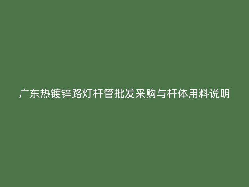廣東熱鍍鋅路燈桿管批發(fā)采購與桿體用料說明