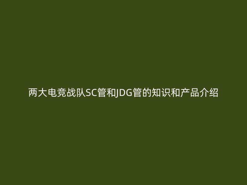 兩大電競戰(zhàn)隊SC管和JDG管的知識和產品介紹